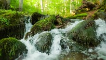 HDR Slow Motion Shot Of Small Mountain Forest Stream With Crystal Clear Water. River Surrounded By Green Forest And Stones Overgrown With Moss. Natural Resources, Groundwater, Ecology, Earth Concept