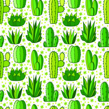 Vector Seamless Pattern With Different Cactus. Succulent Textile Surface. Background With Desert Plants.