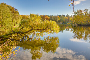 View over small pond with autumn colored trees near Frankfurt in Germany