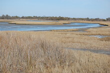 The Beautiful Scenery Of Assateague Island, In Worcester County, Maryland.