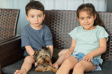 Little Yorkshire Terrier Sitting With Children. Yorkie Dog. Selective Focus On Puppy.
