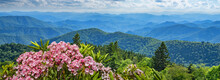 A Panoramic View Of The Smoky Mountains From The Blue Ridge Parkway In North Carolina. Flowers Blooming, Layers Of Green Hills And Mountains. Near Asheville. North Carolina,USA.