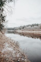 Sticker - Beautiful wild forest in the wintertime by the river, the Bohemian Forest, Czech Republic