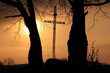 Stary, stalowy krzyż między dwoma starymi drzewami na tle zachodzącego słońca / An old steel cross between two old trees against the setting sun
