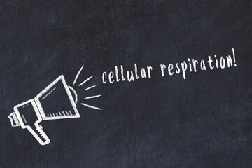 Chalk loudspeaker and inscription cellular respiration on black chalkboard