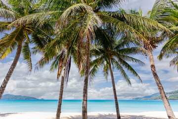 Wall Mural - Beautiful nature of the Andaman Sea and white sand beach in the morning at Patong Beach