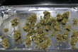 Closeup of a dried cannabis flower buds and leaves on a tray ready for decarboxylation