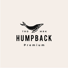 Canvas Print - humpback whale hipster vintage logo vector icon illustration