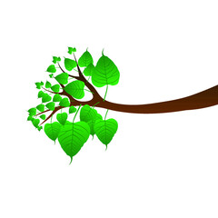 bo tree vector design ( vesak festival )