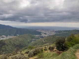 Wall Mural - Discovering the mountains around Genoa. Panoramic view to the city. Grey sky in the background. First green leaves in spring.