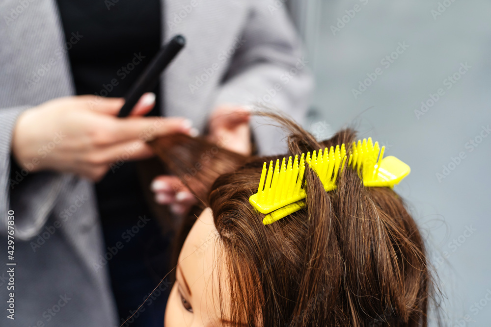 Training and professional development of hairdressers. The process of ...
