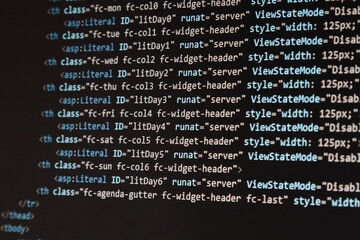 portion of computer website code