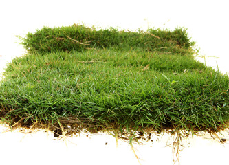 isolated grass patch with roots on white