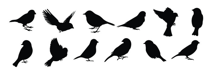 set of black bird silhouettes. vector elements for design.
