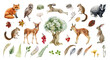© anitapol - Forest wild animal big set. Watercolor illustration. Fox badger rabbit deer and chipmunk. Bunny, owl bird, toad, feather, leaf. Natural element collection. Realistic woodland set on white background