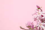 Fototapeta Kwiaty - Magnolia tree branches with beautiful flowers on pink background, flat lay. Space for text