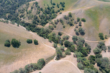 California native oak trees grow in the valleys between rolling hills in the East Bay, not far east of San Francisco Bay. This warm region harbors fruitful wineries and is known for its scenic hills.