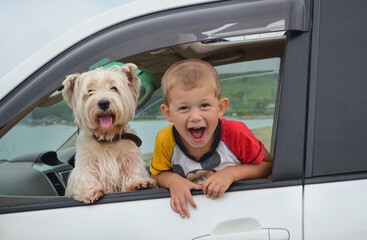 Wall Mural - happy child together with the dog inside the car having fun and enjoy the journey in the summer