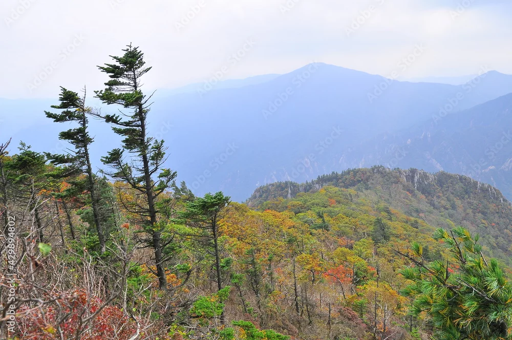 설악산 국립공원 전경 2
