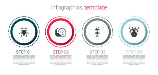 Set Spider, Snail, Centipede and . Business infographic template. Vector