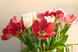 Fototapeta Tulipany - wiosenne tulipany w wazonie