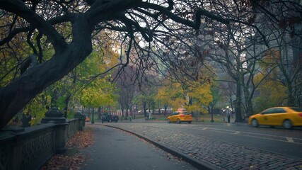 Wall Mural - Central park at rainy morning, New York City, USA