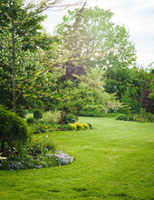 Green Ornamental Garden In Summer, Trees Of Different Colors, Plants And Flower Beds, Green Lawn In The Foreground