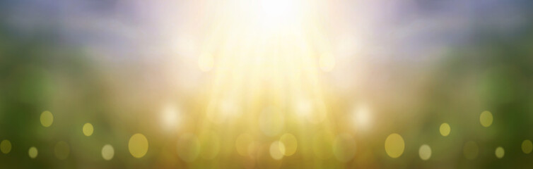 Wall Mural - world environment day concept: blurred nature abstract bokeh background