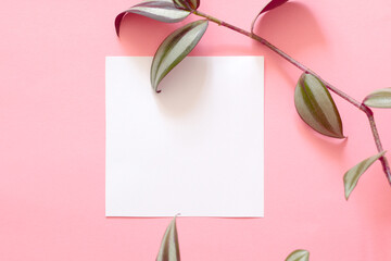 top view of empty white paper page on pink background with green plant leafs