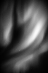 Sticker - Night starry sky. Northern lights, aurora borealis. Black white vector
