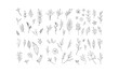 © Matias - Hand drawn floral elements. Swirls, laurels, arrows, leaves, flowers and branches. Doodle botanical elements.