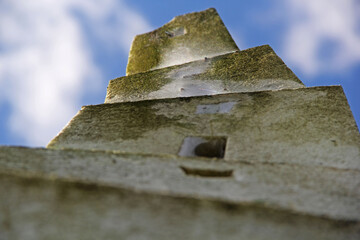 Wall Mural - green moss on sculpture
