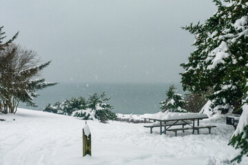 Poster - Snow blankets the beach on Whidbey Island after winter snowstorm