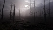 Burnt Sizzling Forest Over Dark Sky With Dead Trees After Fire, Camera Footage Moving Forward. Black Smoky Coal Landscape About Ecology And Climate Change. Footage In Full HD, 25 FPS With Copy Space