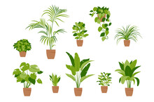 Collection Home Plants. Potted Plants Isolated On White. Vector Set Green Plants. Trendy Home Decor With Indoor Plants, Planters, Tropical Leaves. Flat.