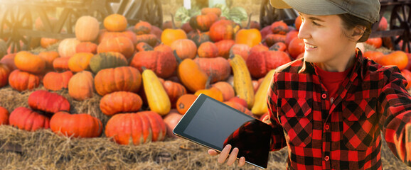 Wall Mural - Farmer with tablet on pumpkin field. Smart farming