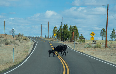 Open Range