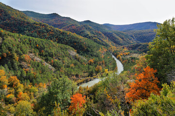 Gorgeous forest near Ansó, Aragonese pyrenees, Huesca province, Spain