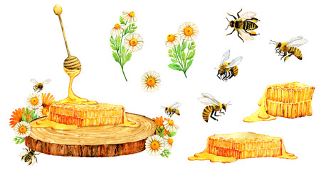 Honey bee, honeycomb, honey jar set painted with watercolor.  Beekeeping fresh honey farm elements isolated on white. Local healthy organic food, farmhouse decor, card, postcard, stickers