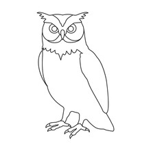 Owl Vector Outline Icon. Vector Illustration Bird On White Background. Isolated Outline Illustration Icon Of Owl .
