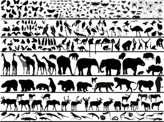 Sticker - huge set of isolated animals, birds and insects black silhouettes