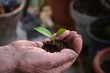 © Kuki LadrondeGuevara - Mano de hombre viejo sosteniendo una planta en un puñado de tierra