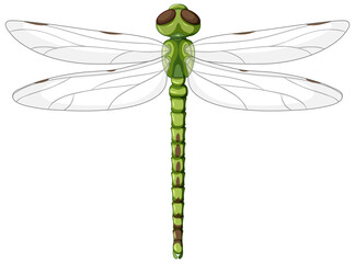 Sticker - A green dragonfly on white background