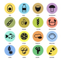 Large set of icons with the main allergens in food