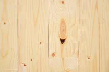 Texture of wood background