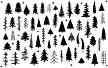 Various  Silhouette  Pine Trees  Set, Isolated Vector Illustration Graphic Collection