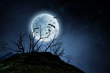 Wall Mural - spooky night image . mixed media