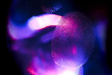 Poster - Close up beautiful abstract blue, purple colored fingerprint on background texture for design. Macro photography view..