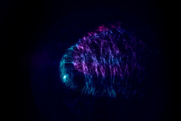 Poster - Beautiful abstract web light pastel magic. Background pattern for design. Macro photography view.