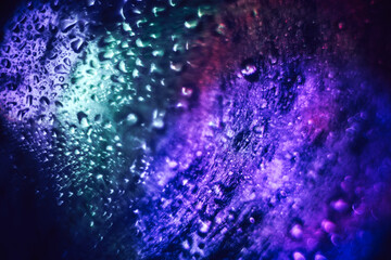 Poster - Beautiful abstract texture web. Background pattern for design. Macro photography view.